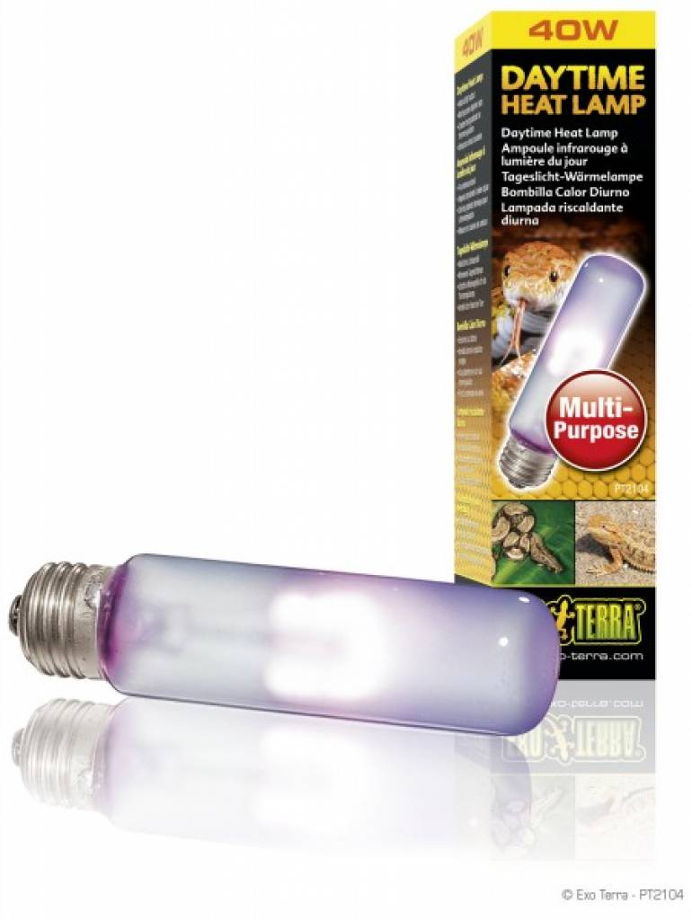 Exo Terra Daytime Heat Lamp